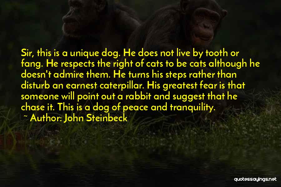 Dog And Friendship Quotes By John Steinbeck
