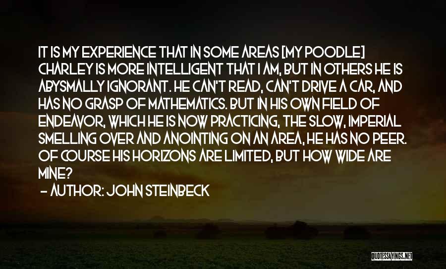 Dog And Friendship Quotes By John Steinbeck