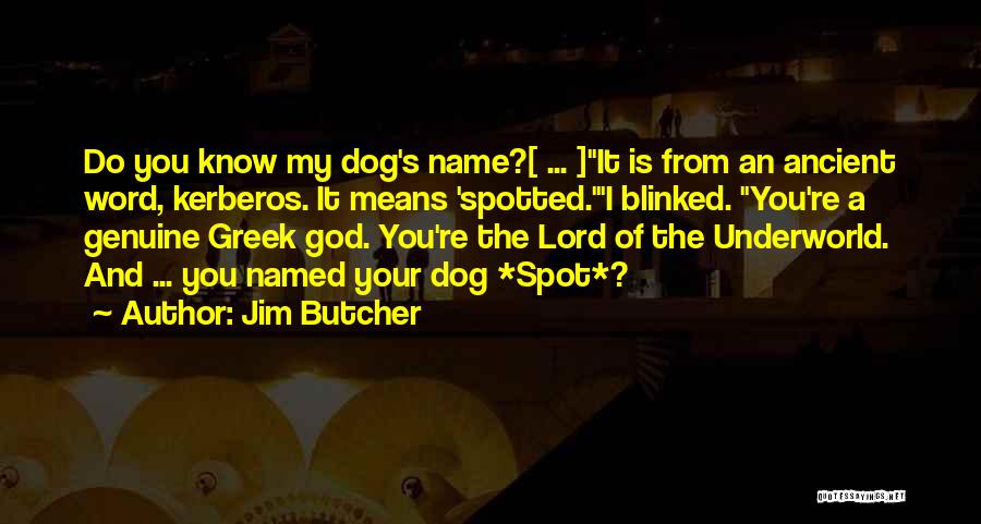 Dog And God Quotes By Jim Butcher
