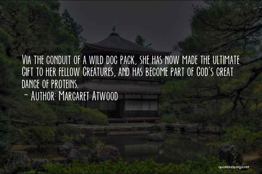 Dog And God Quotes By Margaret Atwood