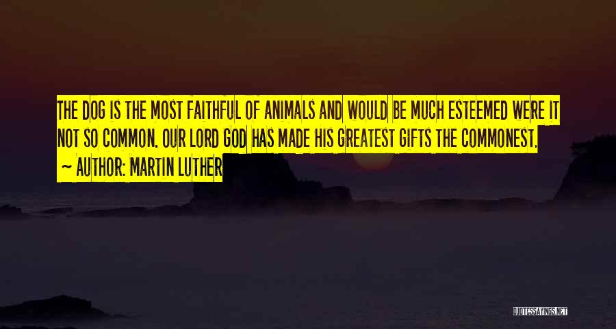 Dog And God Quotes By Martin Luther