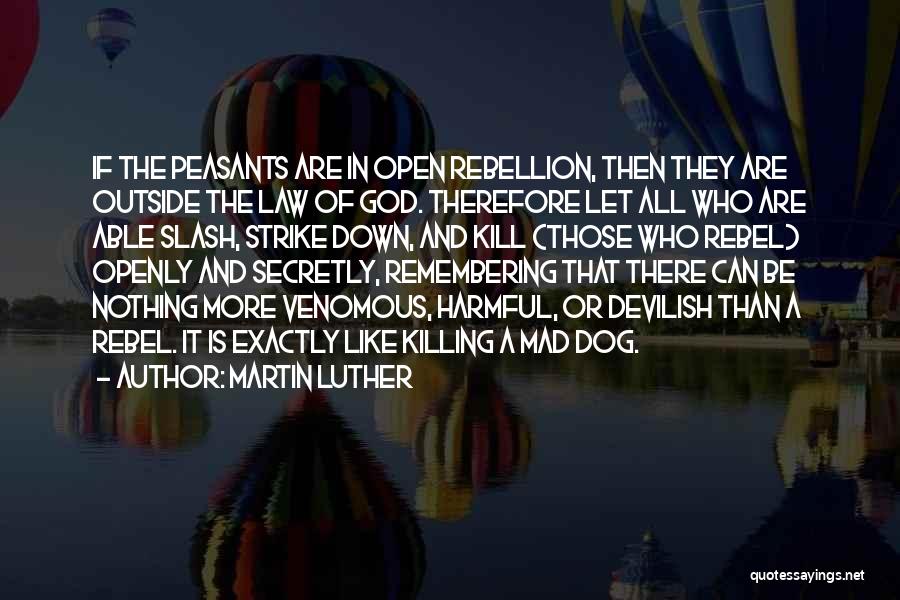 Dog And God Quotes By Martin Luther