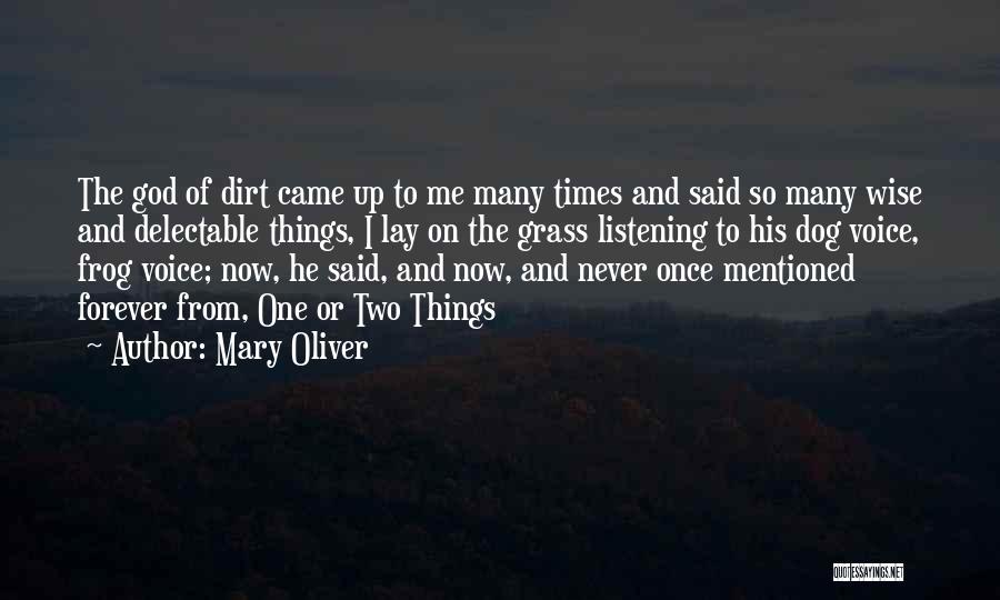 Dog And God Quotes By Mary Oliver