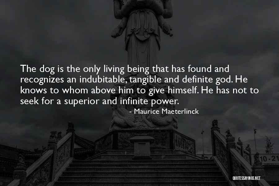 Dog And God Quotes By Maurice Maeterlinck