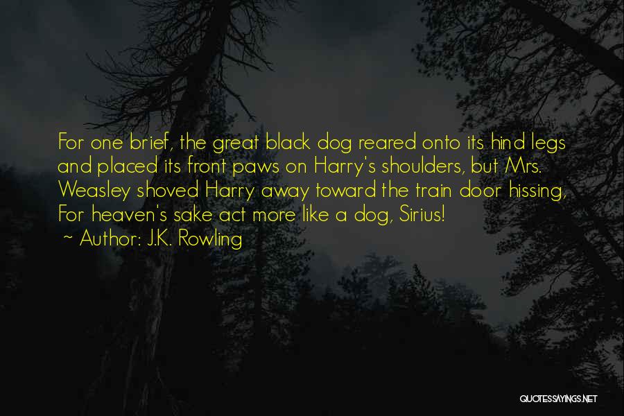 Dog And Heaven Quotes By J.K. Rowling