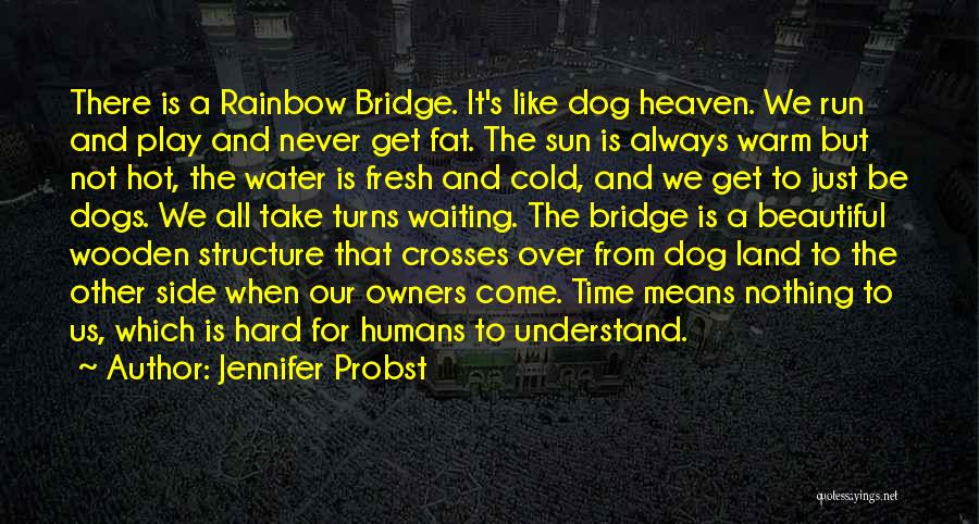 Dog And Heaven Quotes By Jennifer Probst