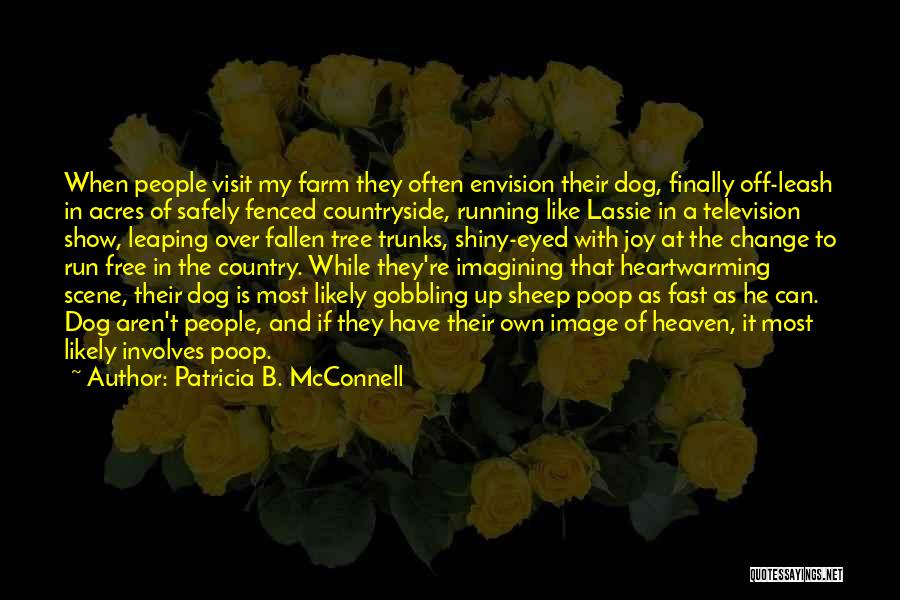 Dog And Heaven Quotes By Patricia B. McConnell