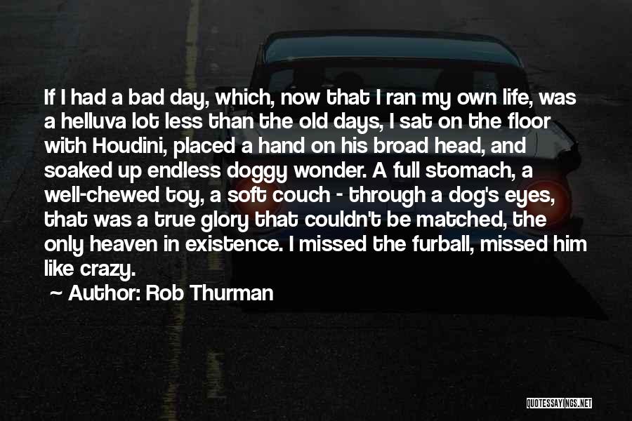 Dog And Heaven Quotes By Rob Thurman