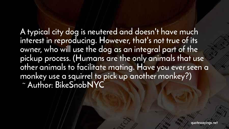 Dog And His Owner Quotes By BikeSnobNYC