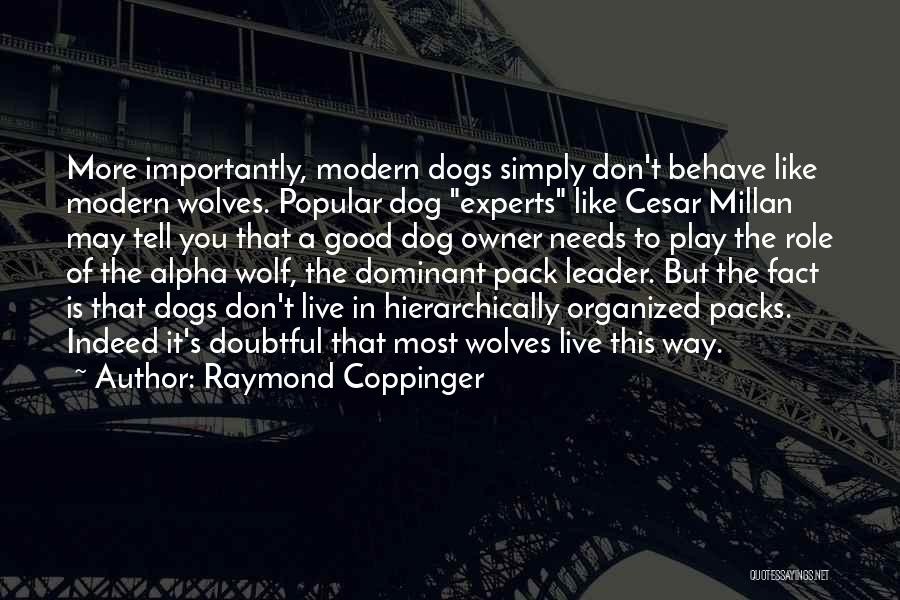 Dog And His Owner Quotes By Raymond Coppinger