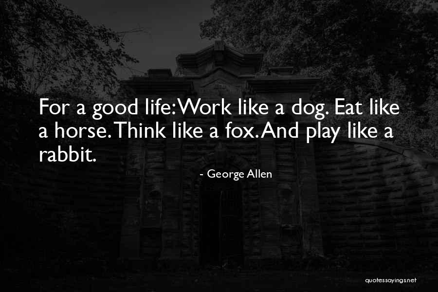 Dog And Horse Quotes By George Allen Dog And Horse Quotes By George Allen