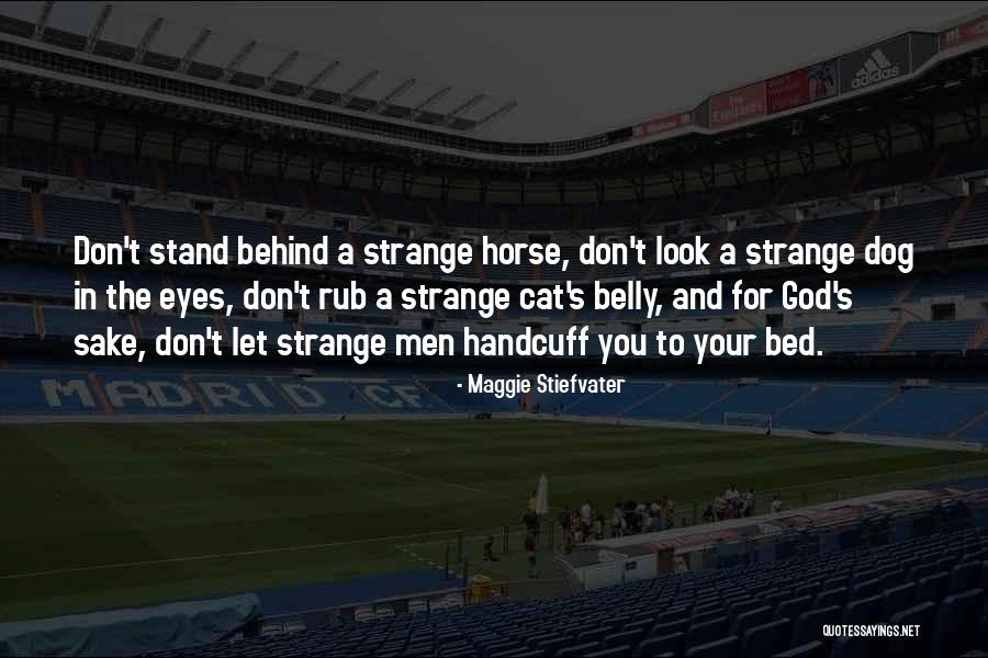 Dog And Horse Quotes By Maggie Stiefvater Dog And Horse Quotes By Maggie Stiefvater