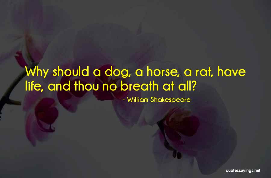 Dog And Horse Quotes By William Shakespeare Dog And Horse Quotes By William Shakespeare