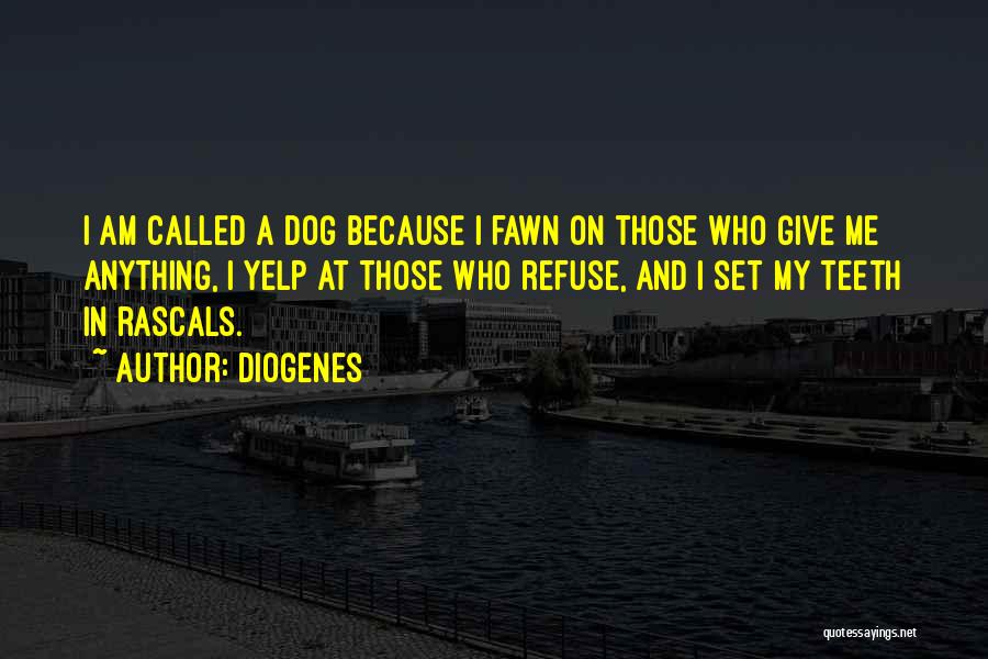 Dog And Me Quotes By Diogenes