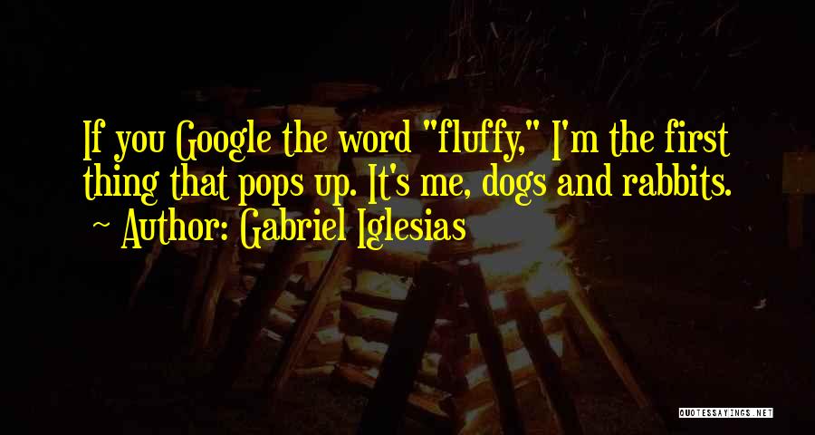 Dog And Me Quotes By Gabriel Iglesias