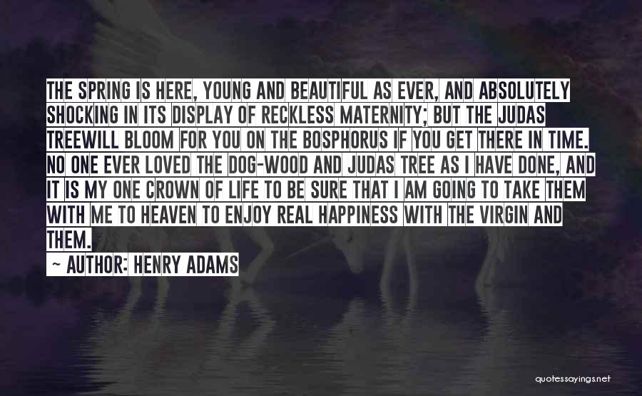 Dog And Me Quotes By Henry Adams