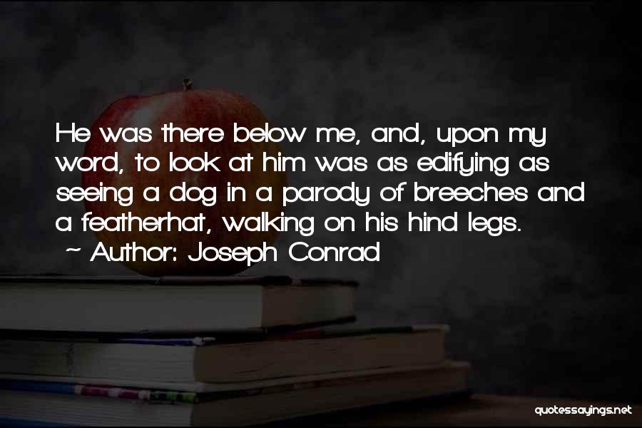 Dog And Me Quotes By Joseph Conrad