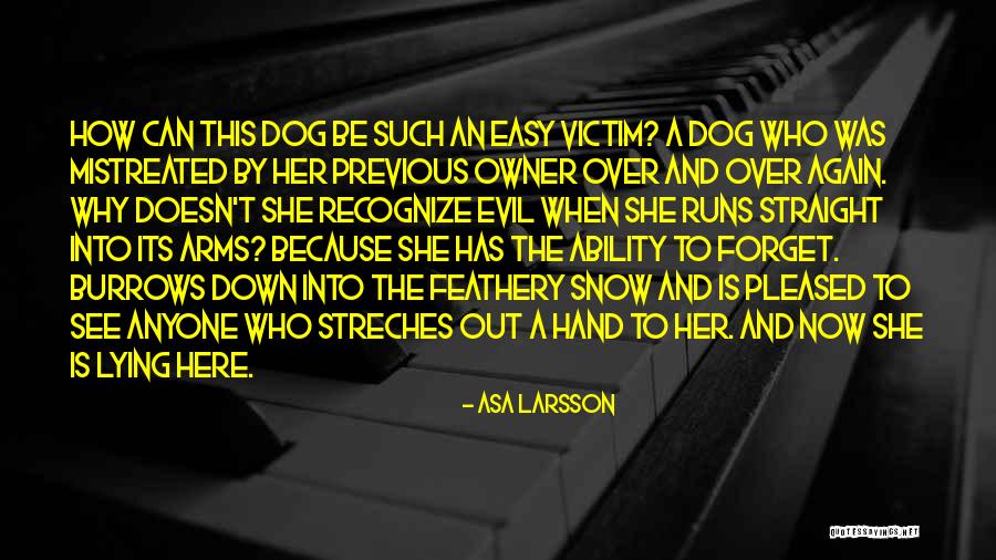 Dog And Owner Quotes By Asa Larsson