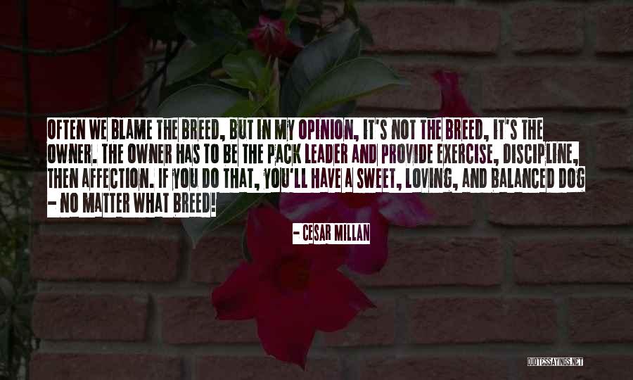 Dog And Owner Quotes By Cesar Millan Dog And Owner Quotes By Cesar Millan