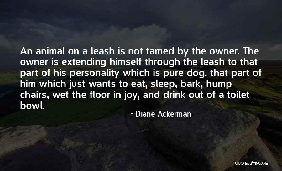 Dog And Owner Quotes By Diane Ackerman Dog And Owner Quotes By Diane Ackerman