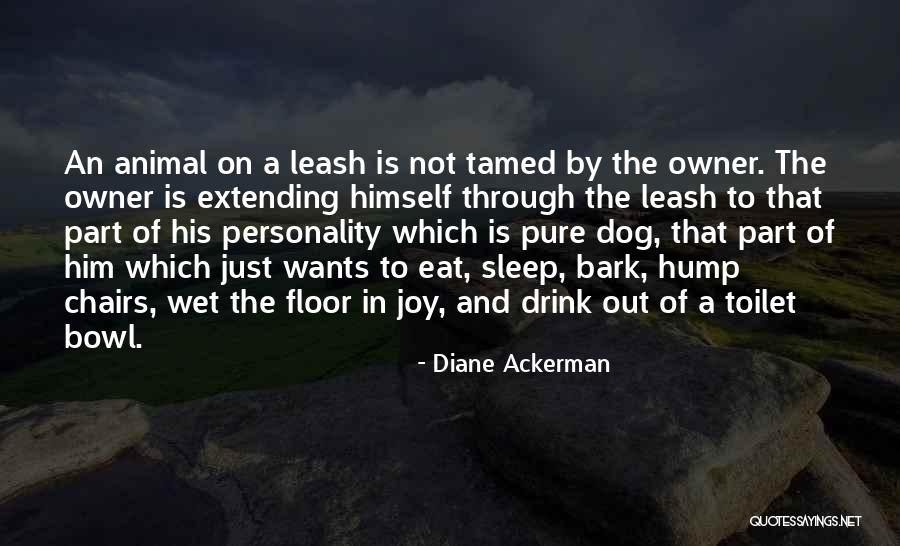 Dog And Owner Quotes By Diane Ackerman