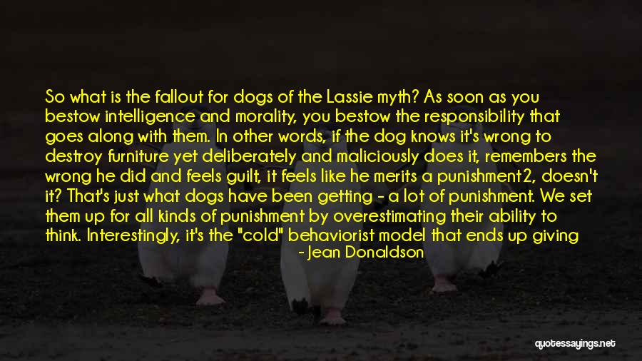 Dog And Owner Quotes By Jean Donaldson Dog And Owner Quotes By Jean Donaldson