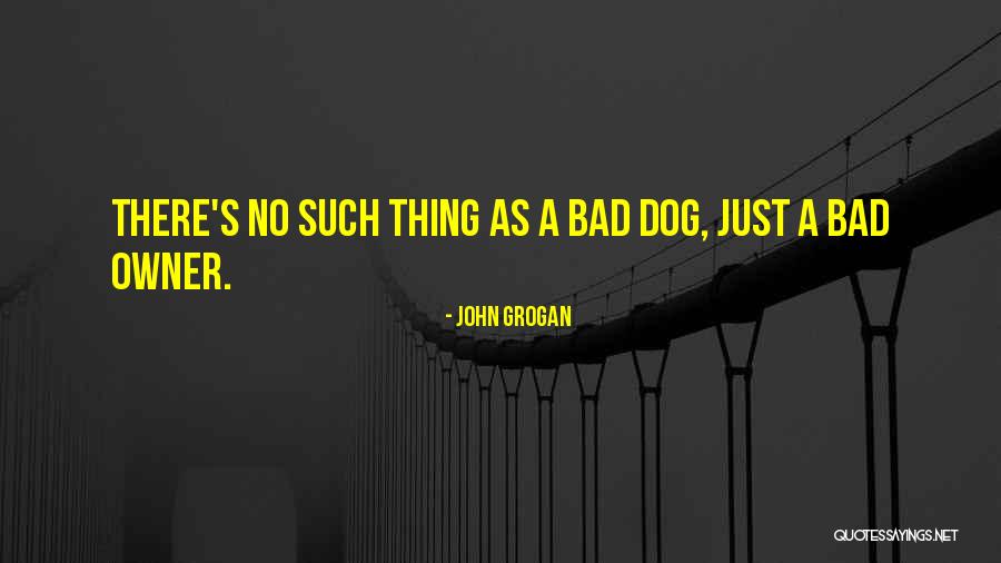 Dog And Owner Quotes By John Grogan