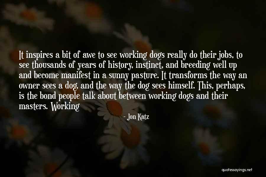 Dog And Owner Quotes By Jon Katz Dog And Owner Quotes By Jon Katz