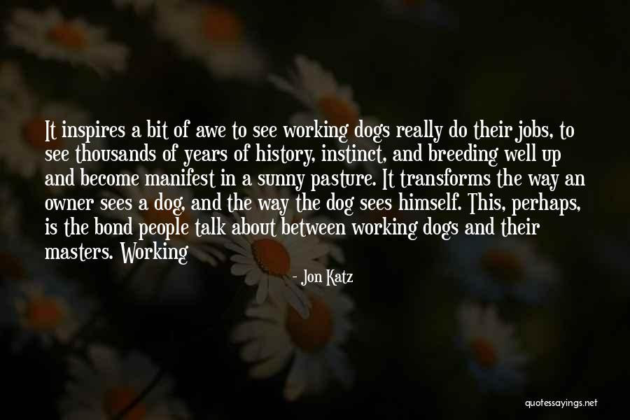 Dog And Owner Quotes By Jon Katz