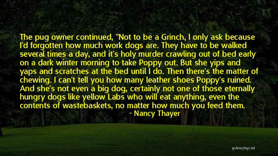 Dog And Owner Quotes By Nancy Thayer