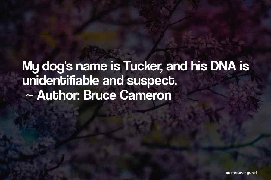 Dog And Quotes By Bruce Cameron