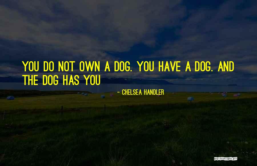 Dog And Quotes By Chelsea Handler