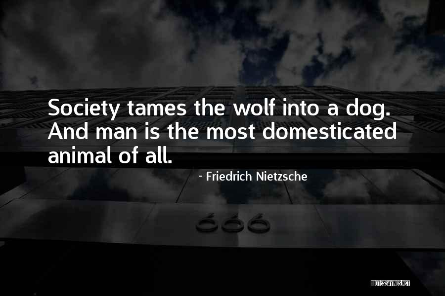 Dog And Quotes By Friedrich Nietzsche