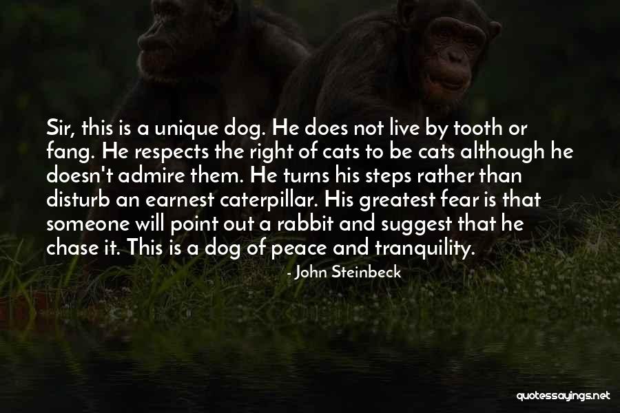 Dog And Quotes By John Steinbeck Dog And Quotes By John Steinbeck