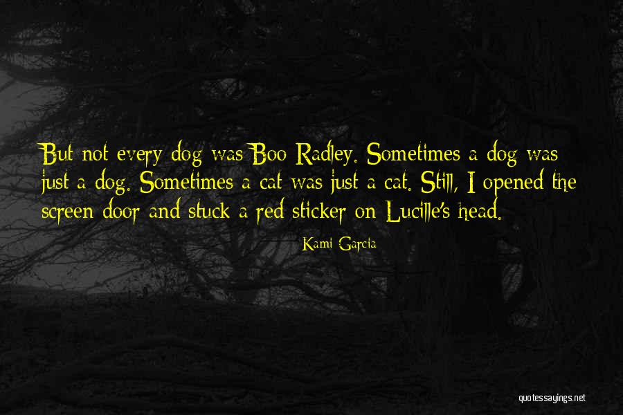 Dog And Quotes By Kami Garcia