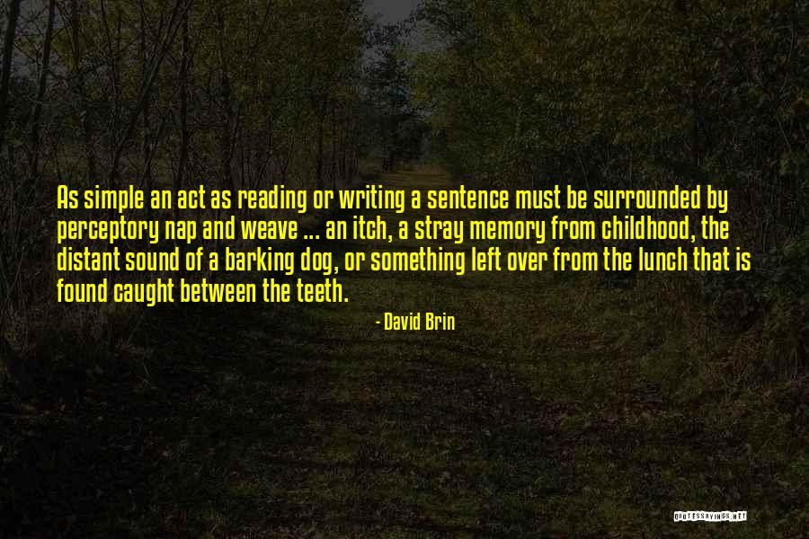 Dog Barking Quotes By David Brin Dog Barking Quotes By David Brin