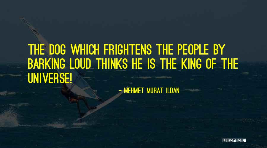 Dog Barking Quotes By Mehmet Murat Ildan Dog Barking Quotes By Mehmet Murat Ildan