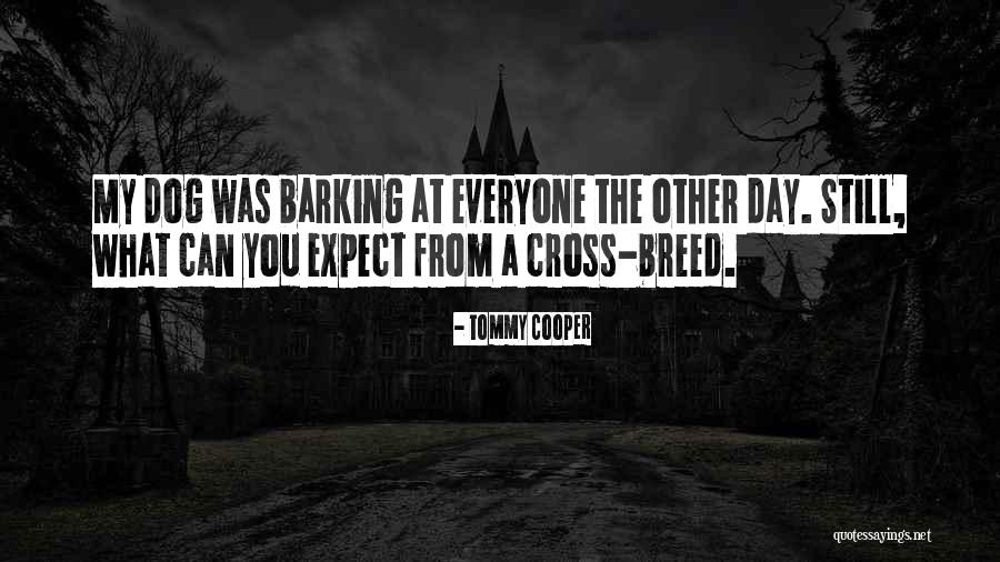 Dog Barking Quotes By Tommy Cooper Dog Barking Quotes By Tommy Cooper
