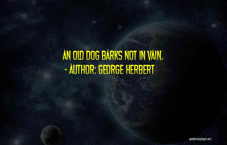 Dog Barks Let Them Bark Quotes By George Herbert