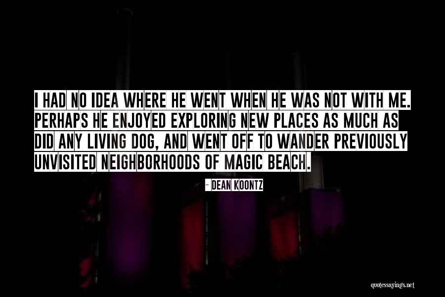 Dog Beach Quotes By Dean Koontz Dog Beach Quotes By Dean Koontz