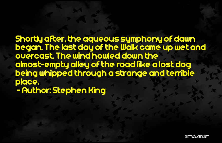 Dog Being There For You Quotes By Stephen King