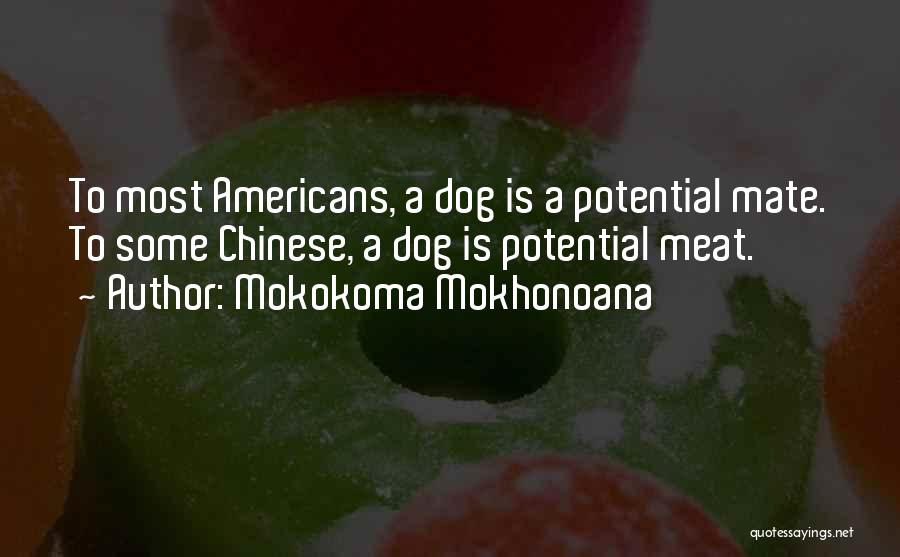 Dog Best Companion Quotes By Mokokoma Mokhonoana