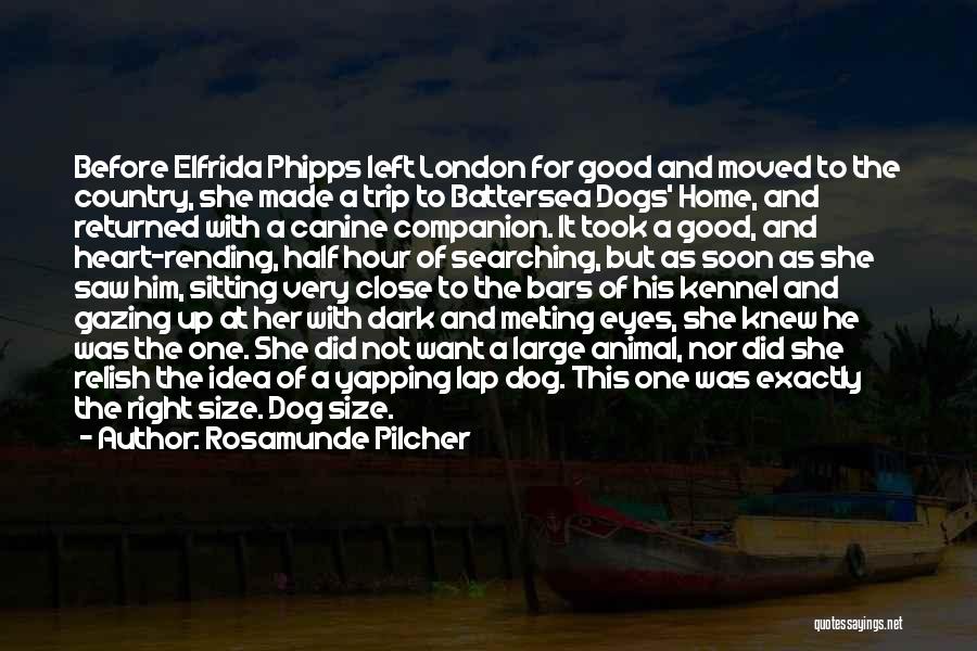 Dog Best Companion Quotes By Rosamunde Pilcher