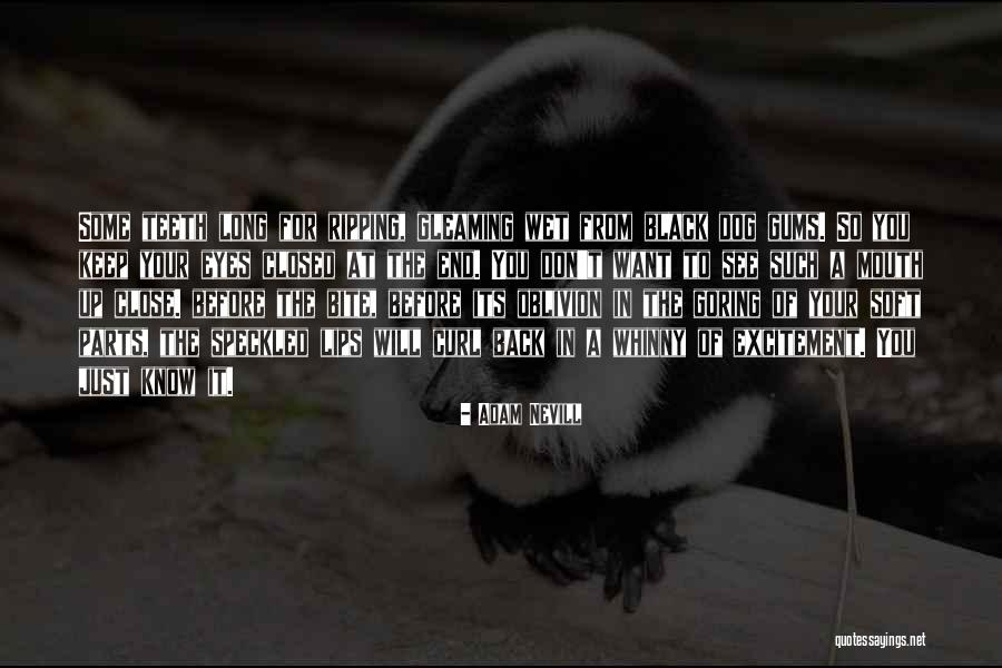 Dog Bite You Quotes By Adam Nevill Dog Bite You Quotes By Adam Nevill
