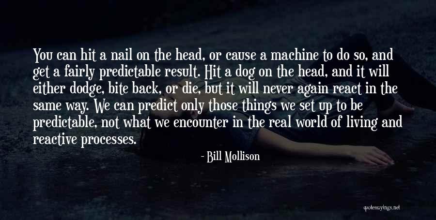 Dog Bite You Quotes By Bill Mollison Dog Bite You Quotes By Bill Mollison