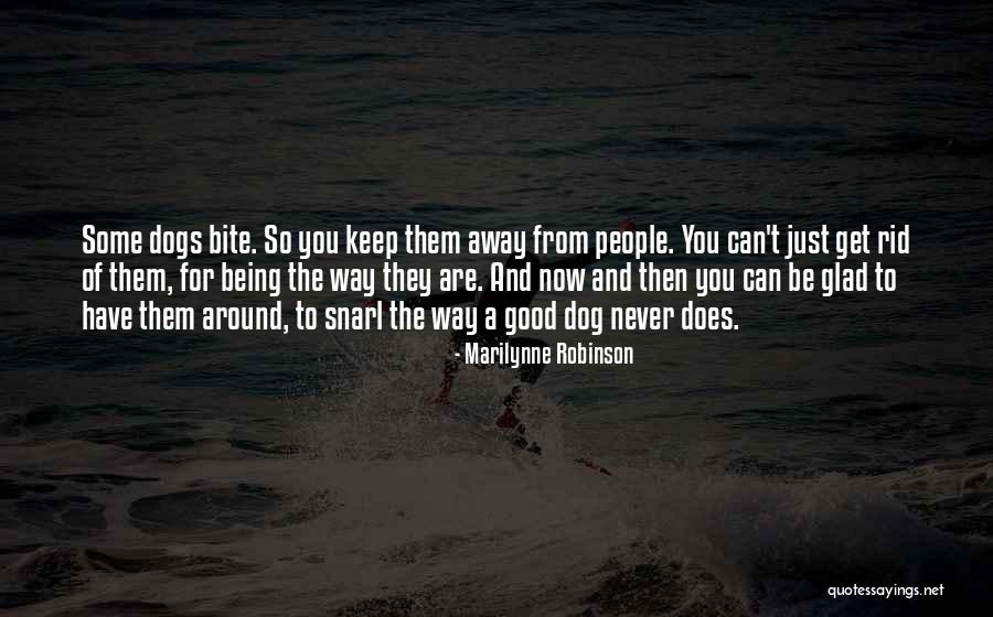 Dog Bite You Quotes By Marilynne Robinson Dog Bite You Quotes By Marilynne Robinson