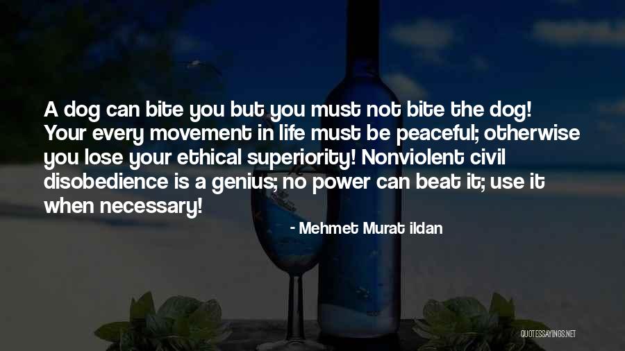 Dog Bite You Quotes By Mehmet Murat Ildan Dog Bite You Quotes By Mehmet Murat Ildan