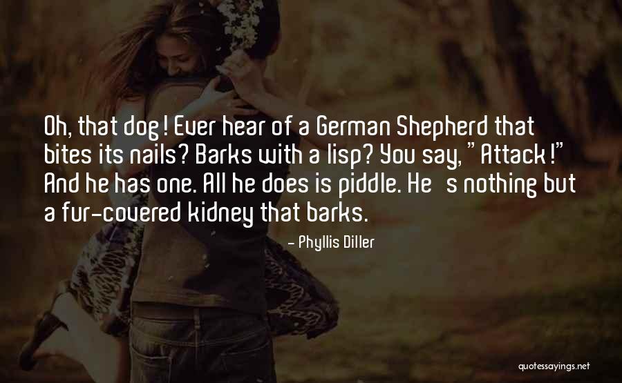 Dog Bites Quotes By Phyllis Diller