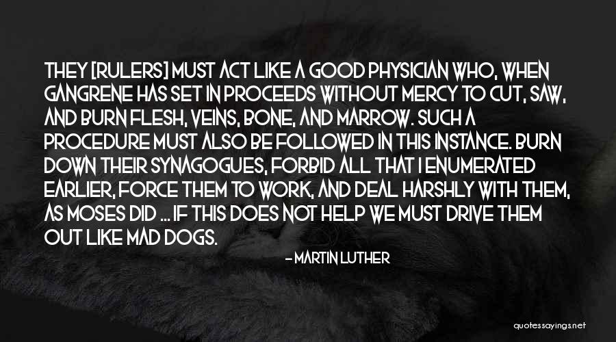 Dog Bone Quotes By Martin Luther Dog Bone Quotes By Martin Luther