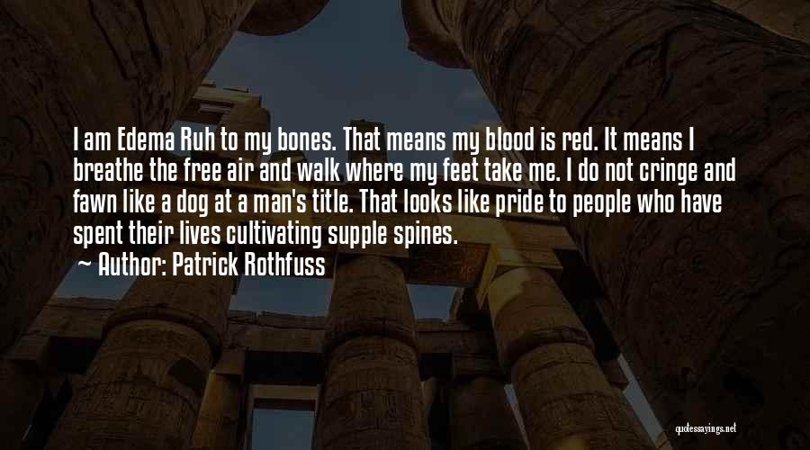 Dog Bones Quotes By Patrick Rothfuss